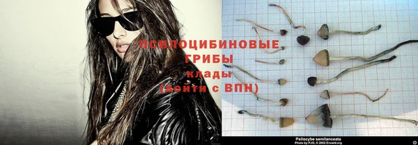 мет Лагань